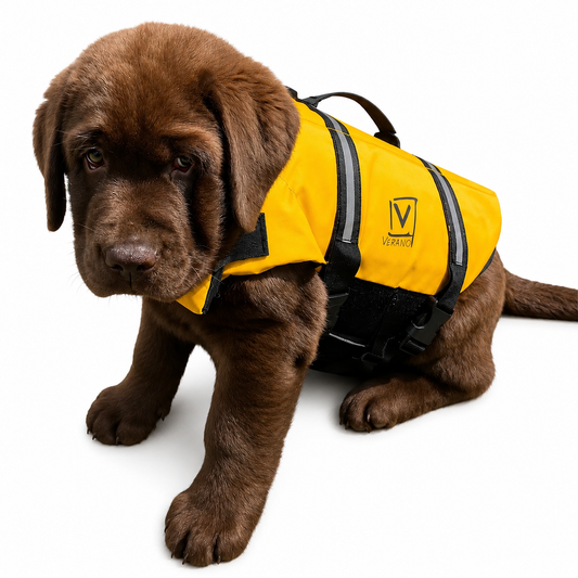 Verano Hunde-Schwimmweste Charly